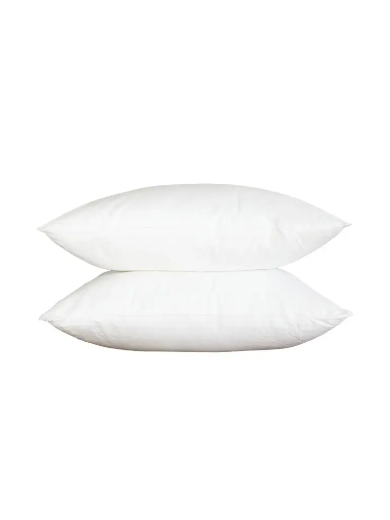 Goose Feather and Down Scatter Cushion Goose Feather and down Scatter 65 x 65 