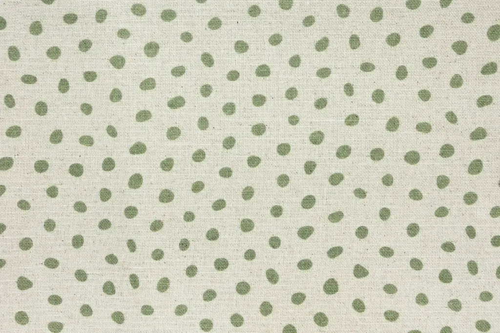 Mountain leopard buchu