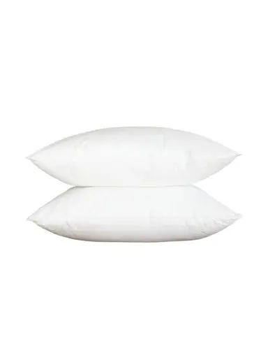 Goose Feather and Down Scatter Cushion Goose Feather and down Scatter 65 x 65 