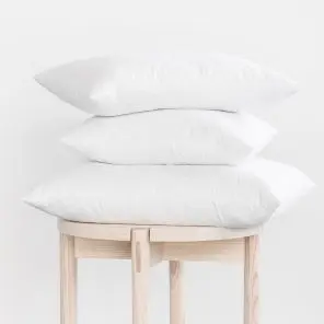 Goose Feather and Down Scatter Cushion 55 cm x 55 cm