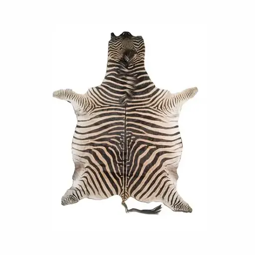 Burchell Zebra skin  SKU: 29095
